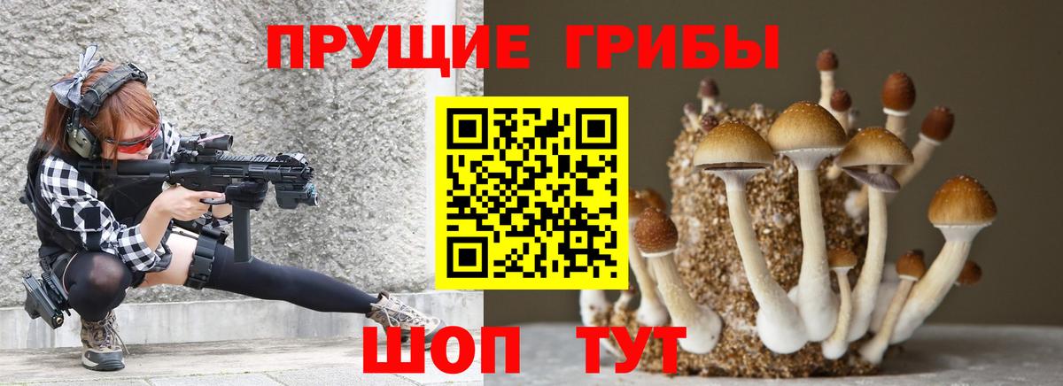 Галлюциногенные грибы мицелий Саров