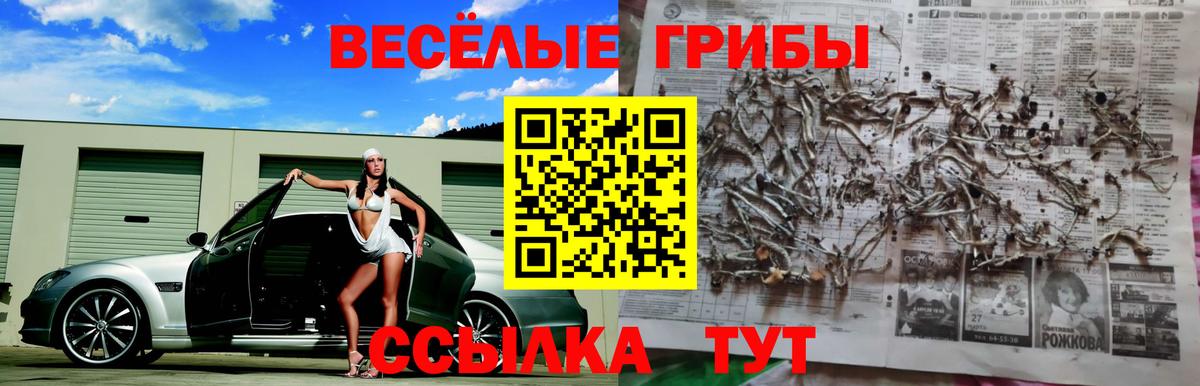 Псилоцибиновые грибы мицелий  Вход с VPN  Саров  Псилоцибиновые грибы мухоморы 