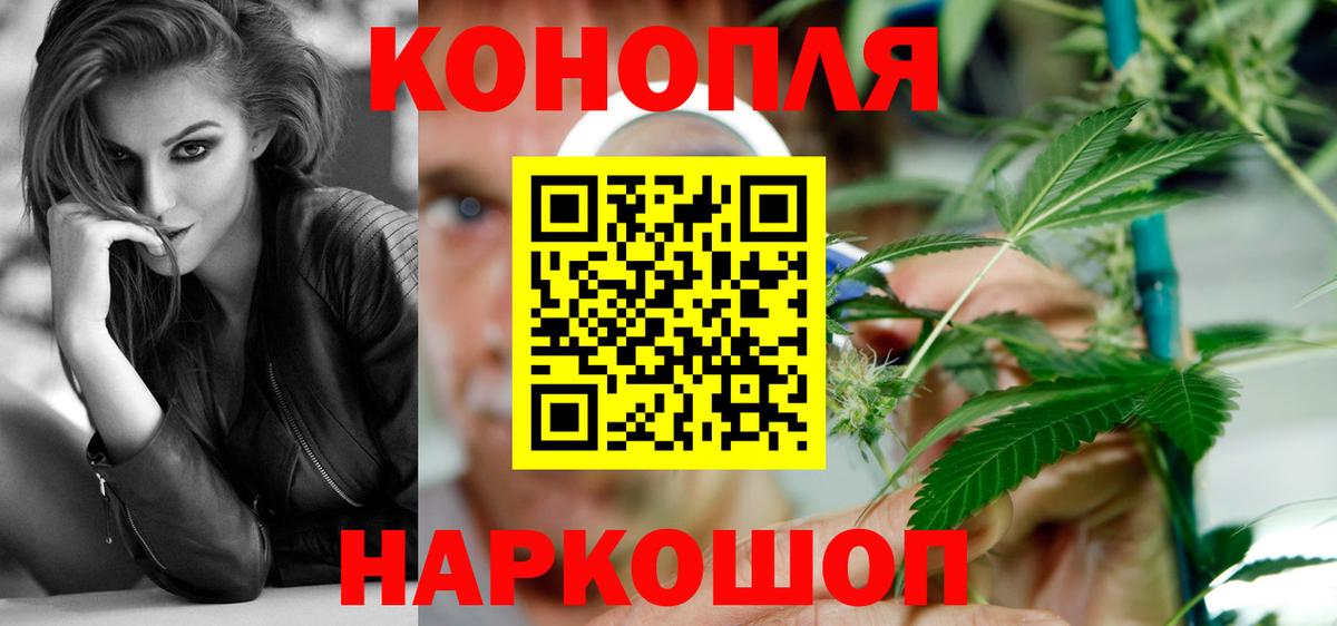 Бошки марихуана SATIVA & INDICA  Канабис планчик  Саров  Вход с VPN  Каннабис OG Kush 